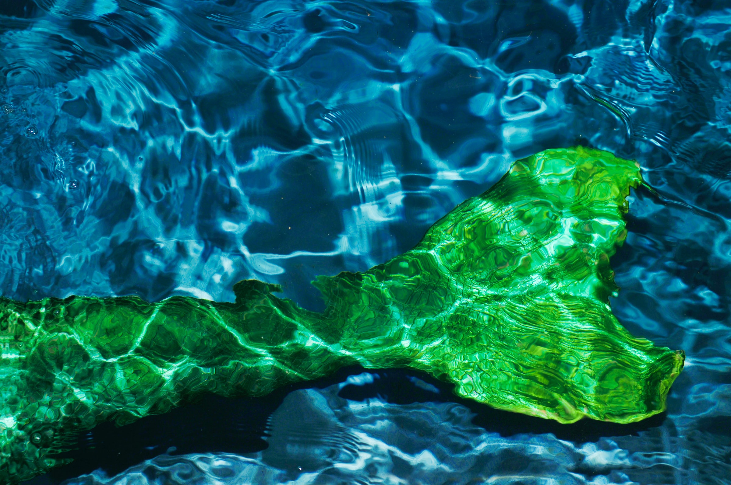 A green mermaid tail underwater